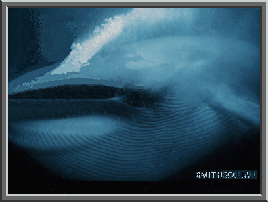 blue.gif (39880 bytes)